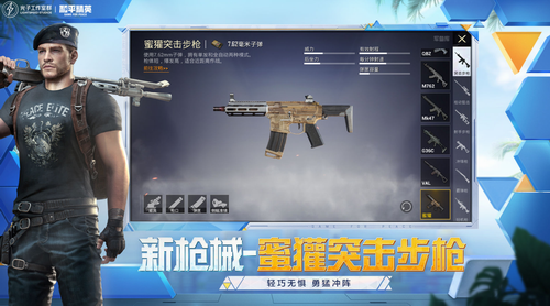 和平精英国际体验服