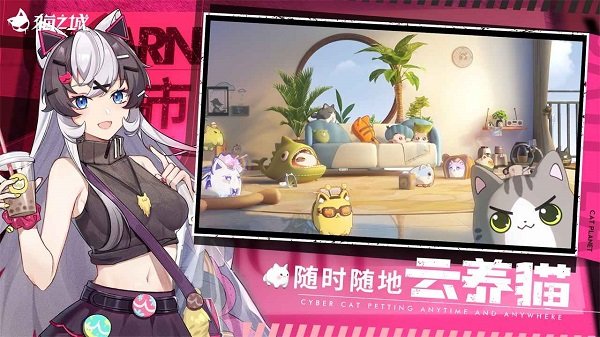猫之城体验服