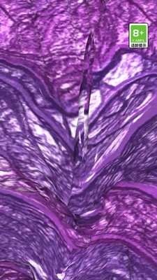 解压体验馆有安卓版