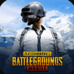 绝地求生体验服下载手机版2022