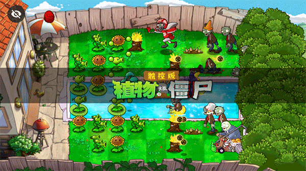 植物大战僵尸TV触控版