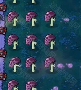 植物大战僵尸威化版安装包