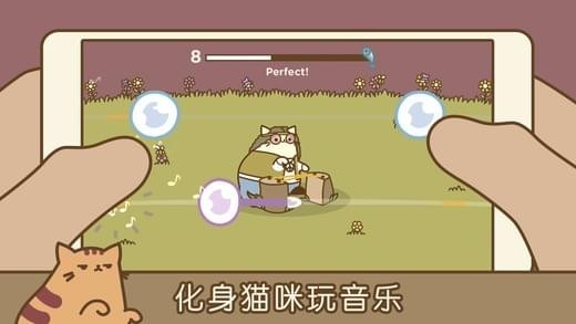音乐猫咪安卓版