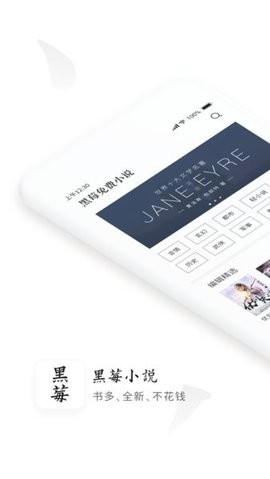 黑莓小说1.3.7版