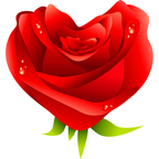 玫瑰视频播放器安卓版