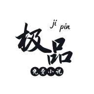 极品小说去更新版