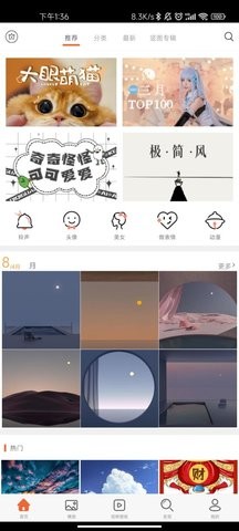 安卓壁纸去广告版