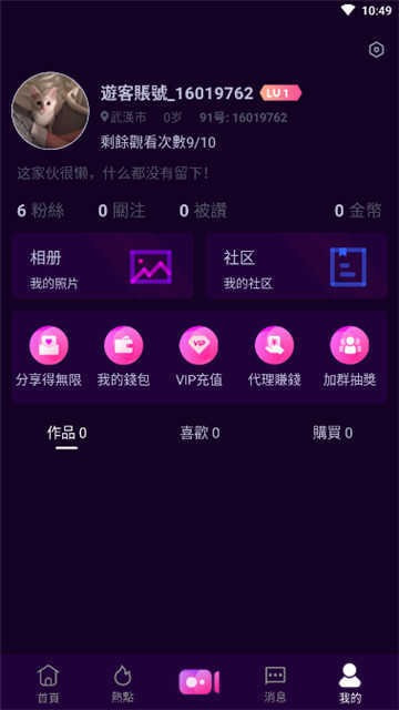 91轻量版本苹果