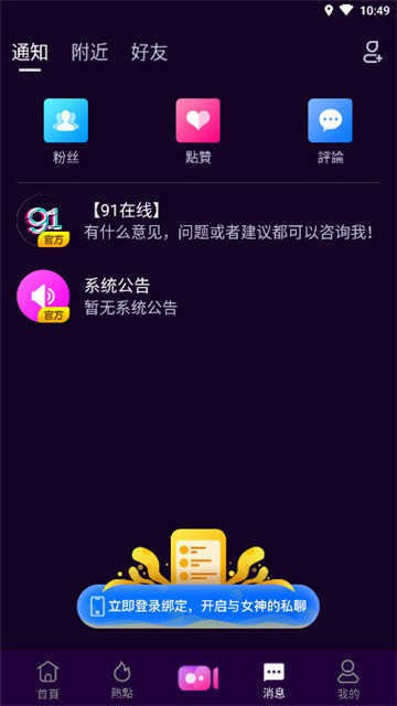 91轻量版本苹果