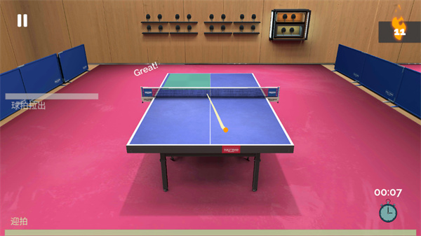 真实乒乓球（Table Tennis ReCrafted!）