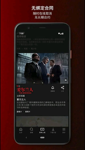 网飞（Netflix）
