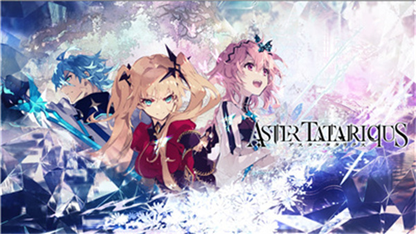 Aster Tatariqus（アスタタ）