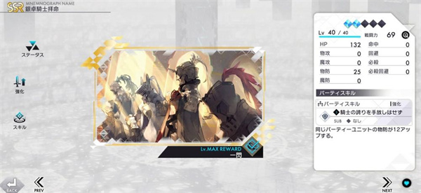 Aster Tatariqus手游念装推荐8