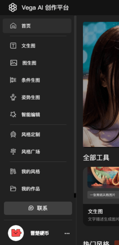 vegaAI创作平台