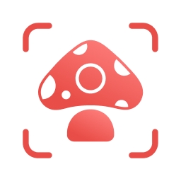 Picture Mushroom免费版