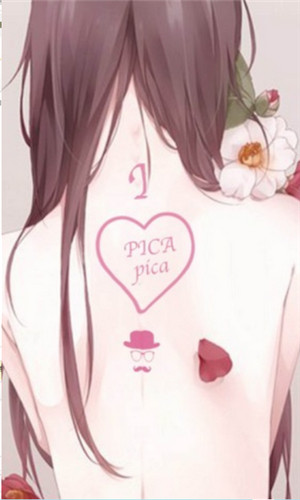 PicACG安装包最新版下载
