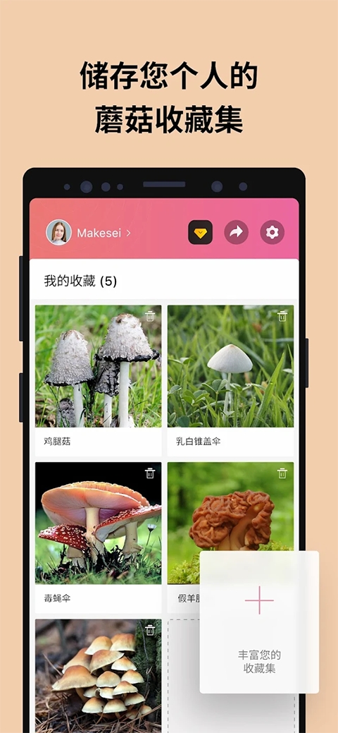 Picture Mushroom免费版