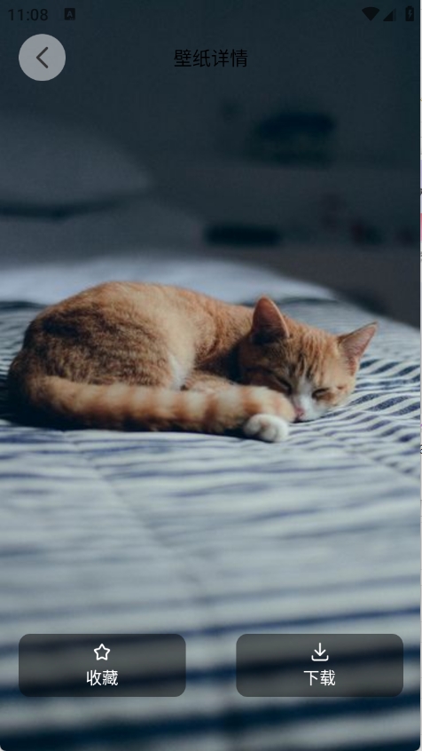 萌猫派对壁纸app手机版
