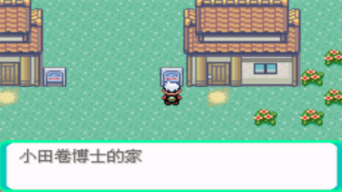 口袋妖怪传说绿宝石gba文件