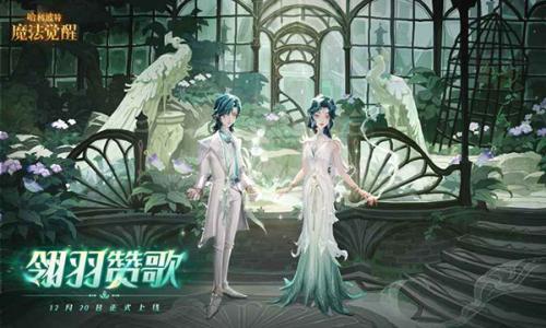 哈利波特魔法觉醒官服