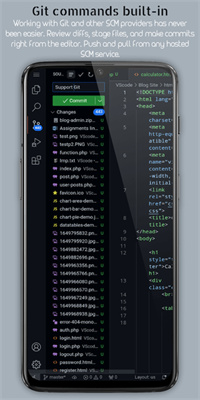 VSCode