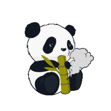 小熊猫辅助器(免费)最新版本（熊猫框架）