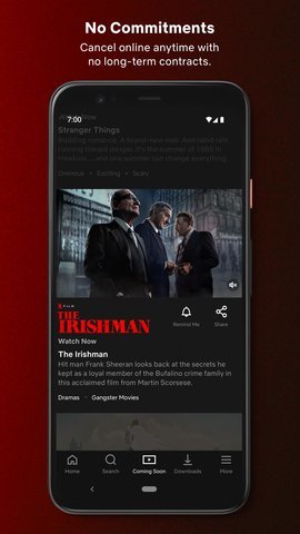 Netflix中文版