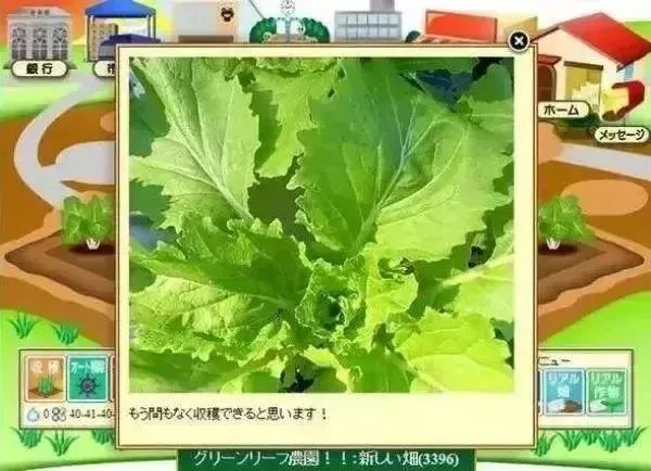 旅游鸡(Tra