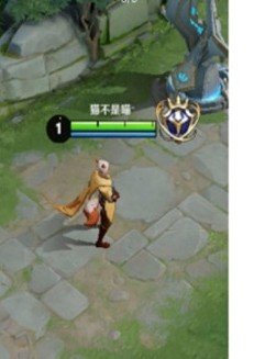 抖音王者国服P图