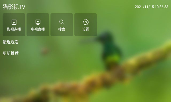 猫影视t