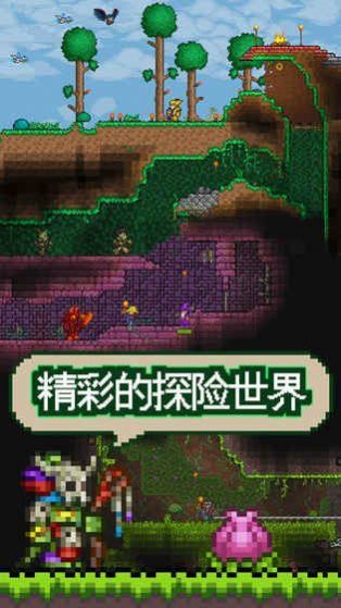 泰拉瑞亚9999叠加
