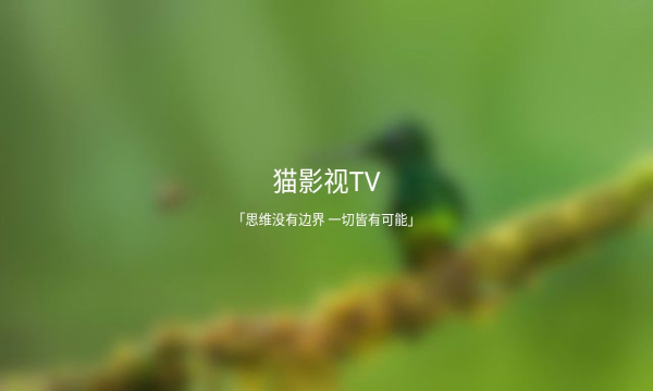 猫影视t
