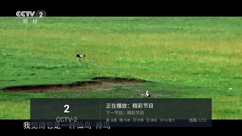 白菜直播