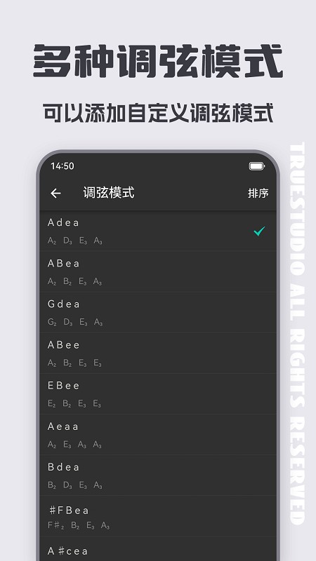 琵琶调音器
