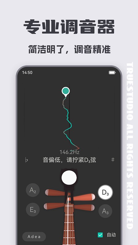 琵琶调音器