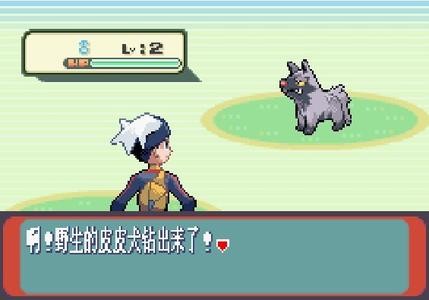 口袋怪兽红宝石386金手指