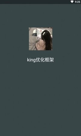 king专用框架防闪退版