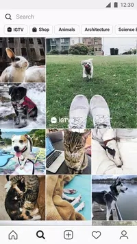 instagram下载（安卓版）