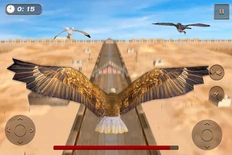 老鹰比赛模拟器(Birds Race Simulator)