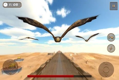 老鹰比赛模拟器(Birds Race Simulator)