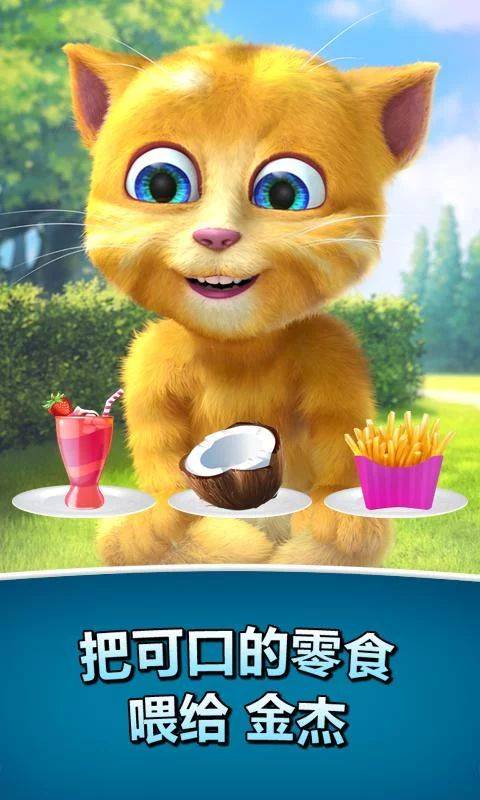 会说话的金杰猫2(Talking Ginger 2)