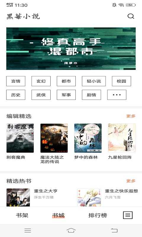 黑莓小说旧版本