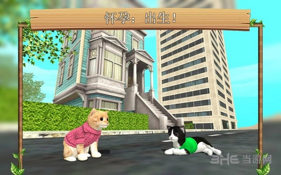 猫咪生存模拟器无限金币版(CatSim)