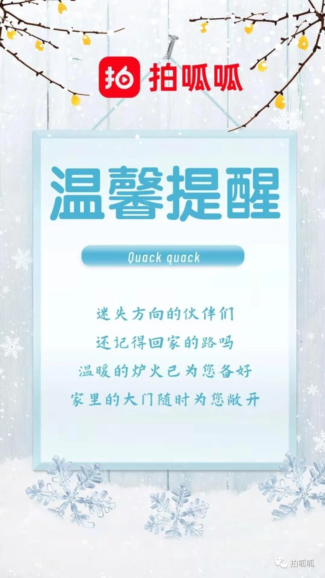 拍呱呱app下载