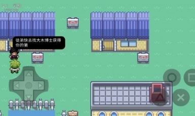 口袋妖怪绿宝石5.4内置修改器版