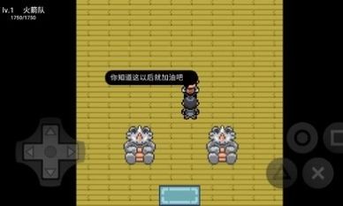 口袋妖怪绿宝石5.4内置修改器版