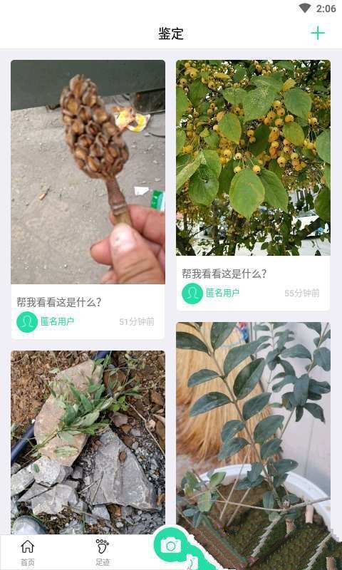 趣植物