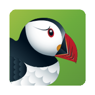 Puffin