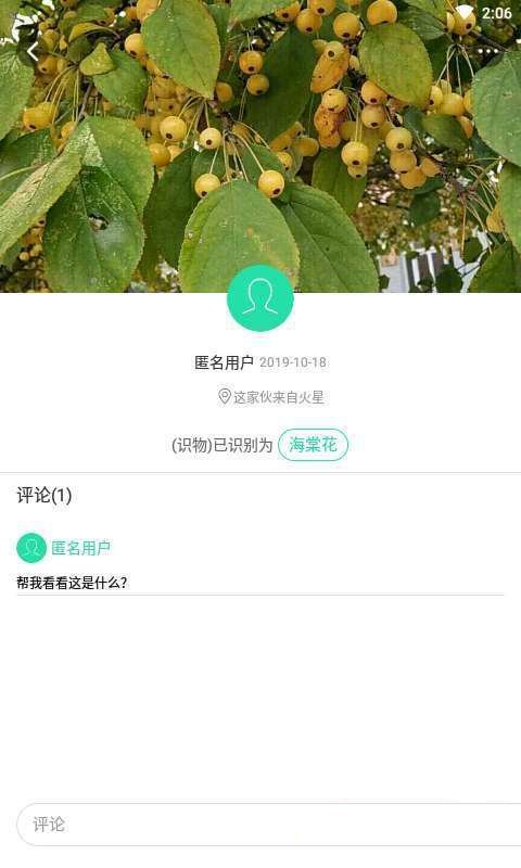 趣植物