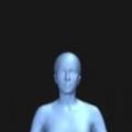 人体可视化仪(body
